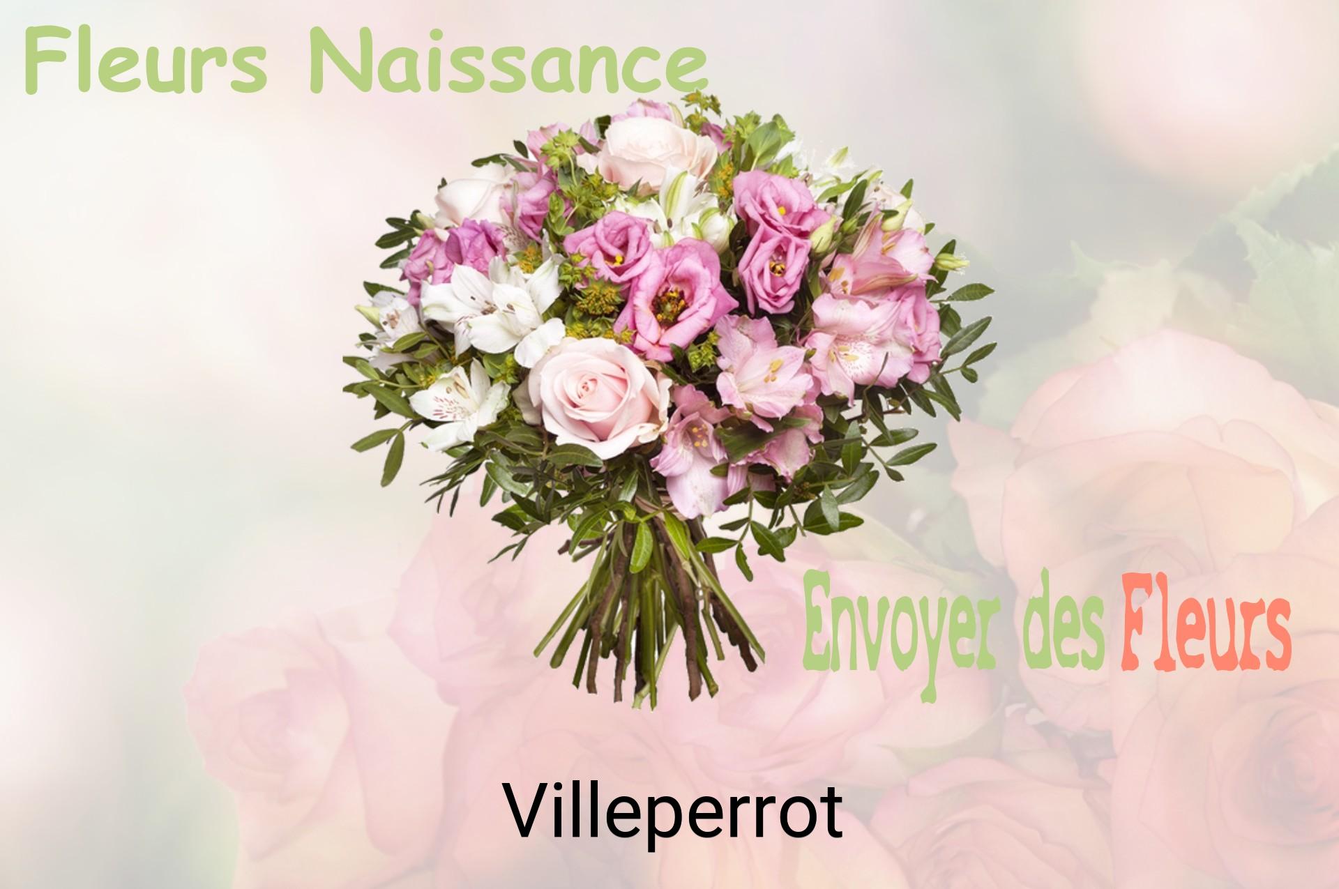 Bouquet de fleurs de naissance livré à Villeperrot