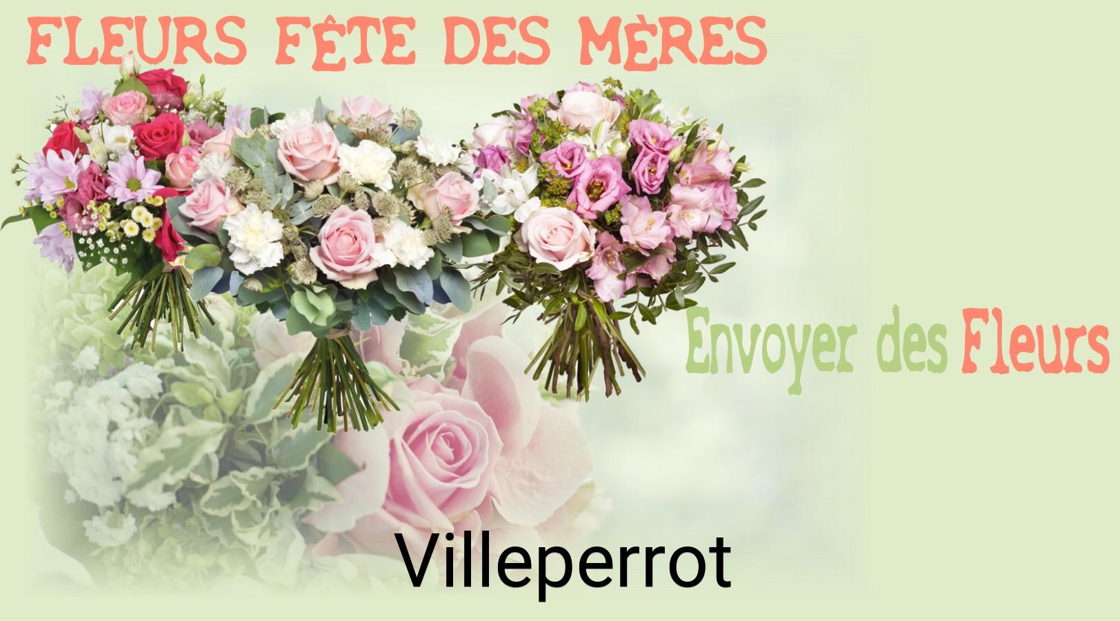 Bouquet de Fête des Mères livré à Villeperrot